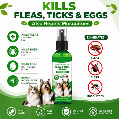 Flea and Tick Spray for Dogs, Flea and Tick Prevention (Buy 1 Get 1 Free)