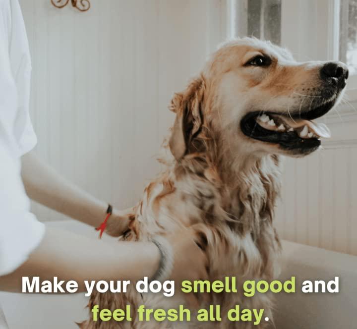 AI Anti-Itch Dog Shampoo (Buy 1 Get 1 Free)